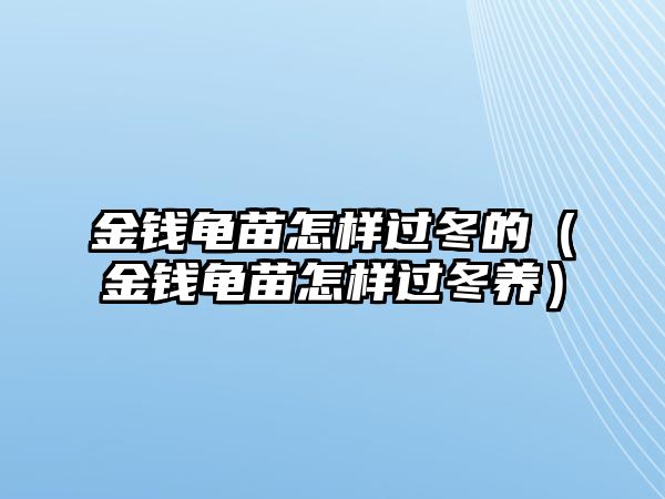 金錢龜苗怎樣過冬的（金錢龜苗怎樣過冬養(yǎng)）